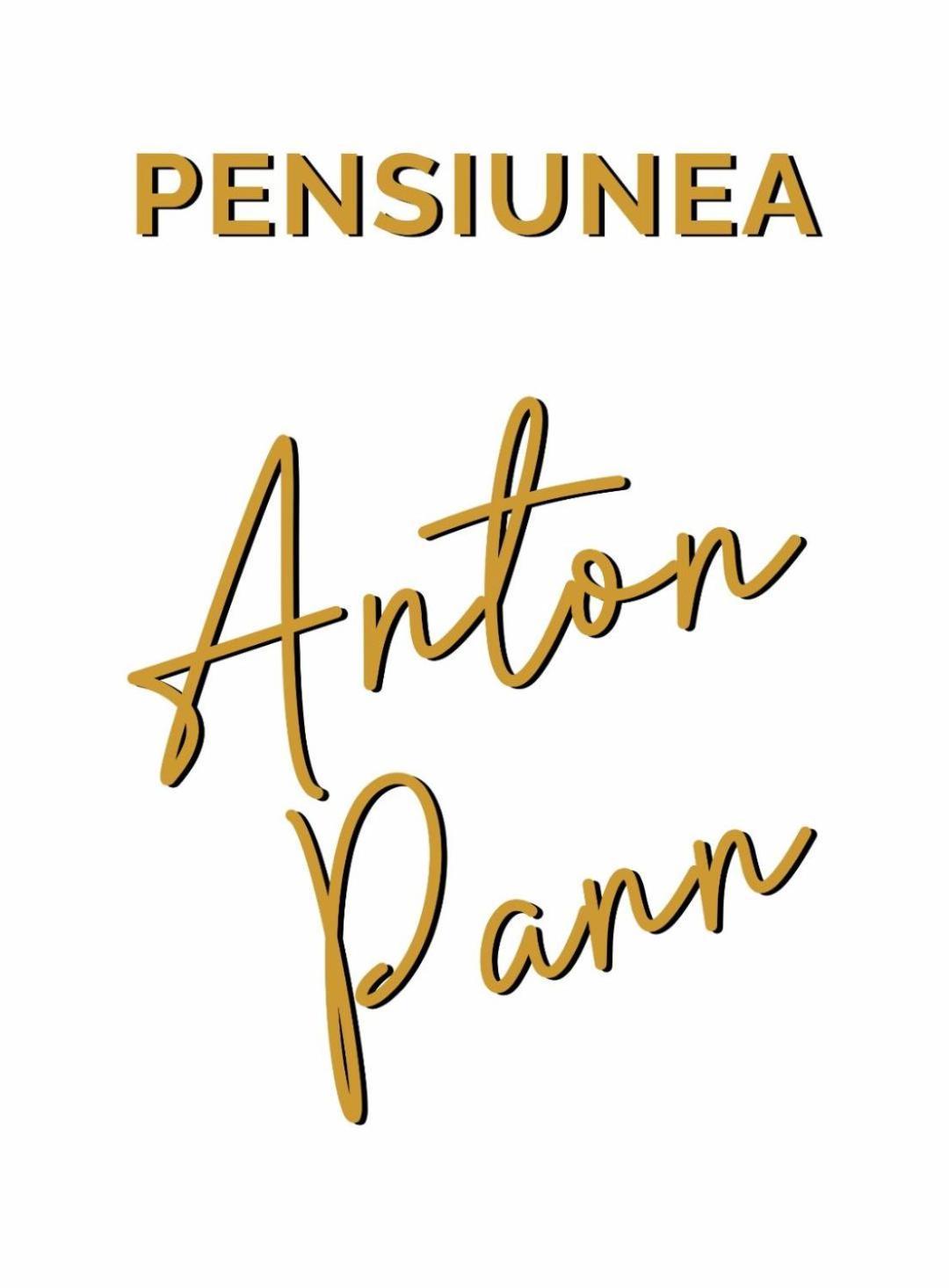 Pensiunea Anton Pann Sibiu Eksteriør billede